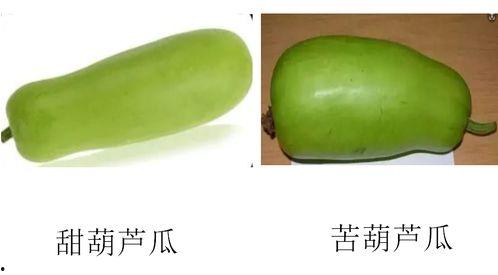 糖葫芦达人  第3张