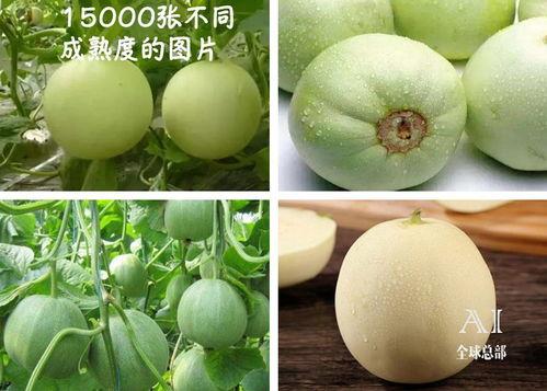 黑料吃瓜网apk普通安装  第1张