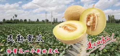从此再无天人书碎梦篇 第1张 从此再无天人书碎梦篇 第1张