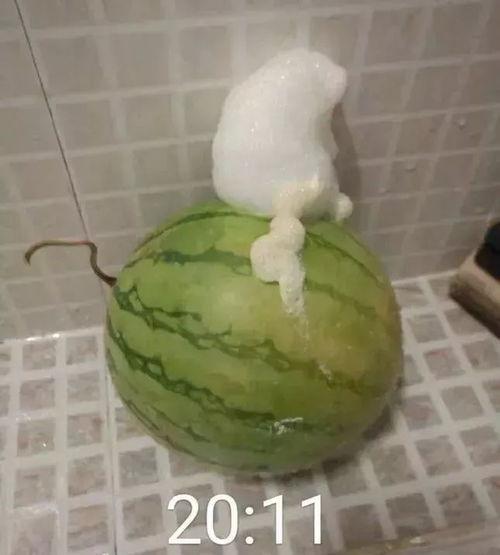 开启读书  第2张