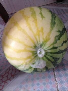 开启读书  第3张