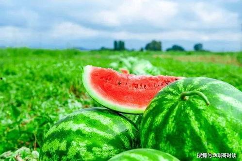 黑料吃瓜网apk普通安装  第3张