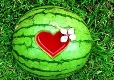 黑料吃瓜网apk普通安装 