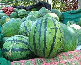 我要如何说再见 