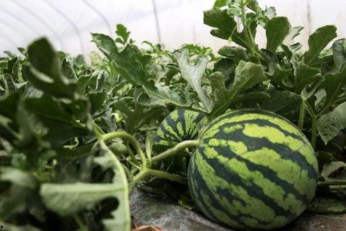 音乐时刻官方版正版下载  第2张