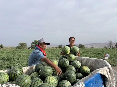 黑料吃瓜网apk普通安装  第2张