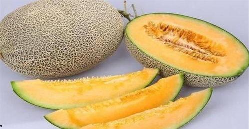 哈密瓜影视  第3张