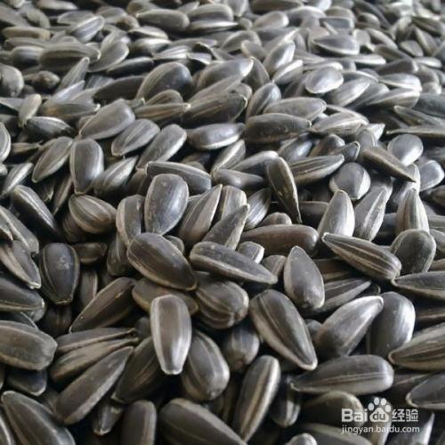 说的是什么字  第3张