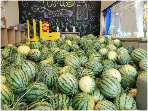 黑料吃瓜网apk普通安装  第3张