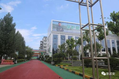 黑料吃瓜网apk普通安装 